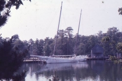 cubalo, jun 77