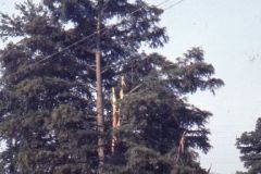 cubalo lightning damage aug 69