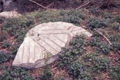 doe bridge, mill wheel, 1970, at
