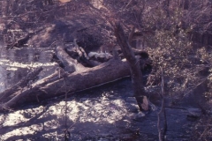 doe bridge, rubble fill bridge, 71