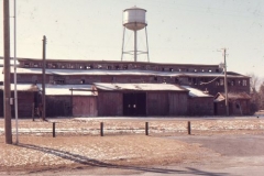 houston white, mar 77-2
