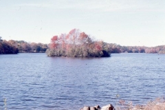 millsboro pond 1, nov 74