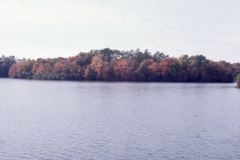 millsboro pond 2, nov 74