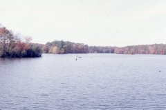 millsboro pond 3, nov 74