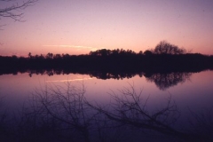 millsboro pond 4, nov 74