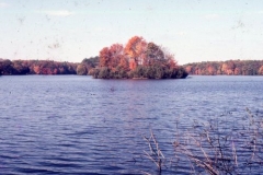 millsboro pond, nov 72