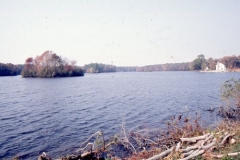 millsboro pond, nov 74