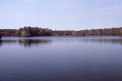 millsboro pond, oct 77