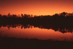 ~, nov 83