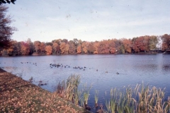 pond, nov 74-1
