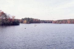 pond, nov 74-2