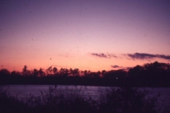 sunset, dec 78