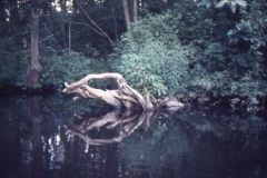 water scene, aug 71